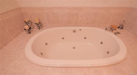 Master Bath Spa Tub